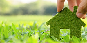Bonus verde 2020, tutte le istruzioni in un sola Circolare